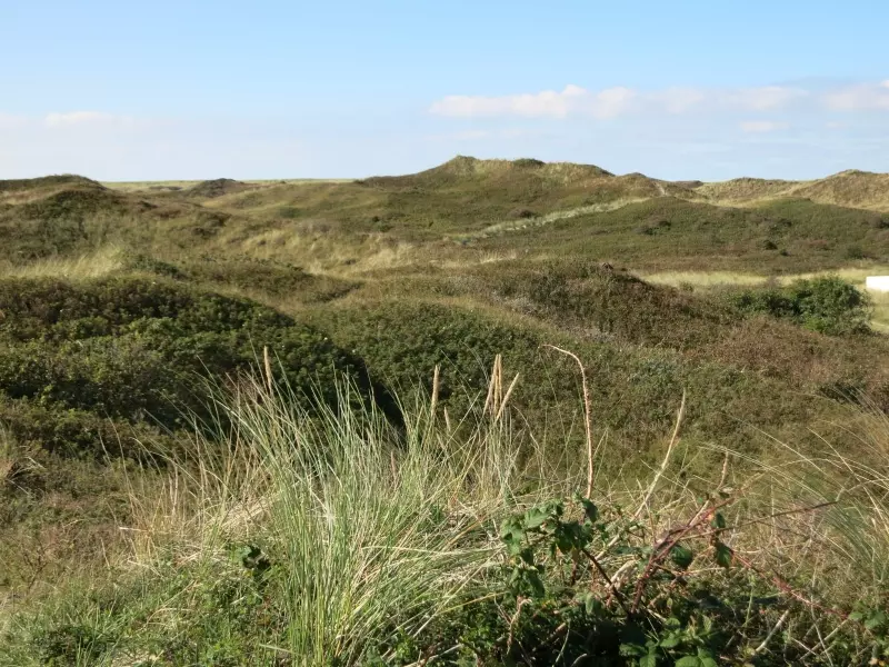 Texel (c) Markus Lenk